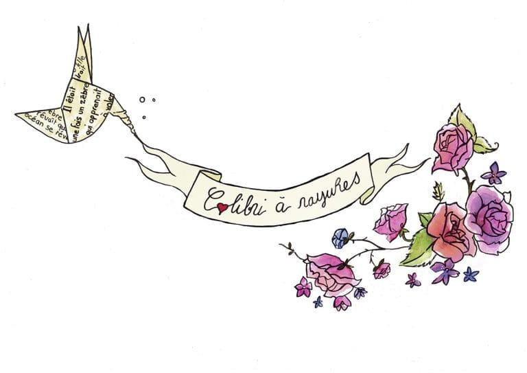 Colibri à Rayures